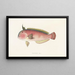 Faune japonaise Pl104 - Philipp Franz Balthasar von Siebold — gerahmtes Bild an der Wand