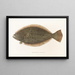 Fauna japonica Pl111 - Philipp Franz Balthasar von Siebold — gerahmtes Bild an der Wand