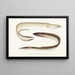 Fauna japonica Pl130 - Philipp Franz Balthasar von Siebold — gerahmtes Bild an der Wand