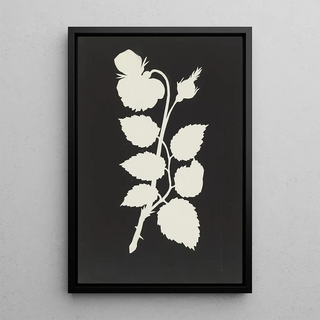 Philipp Otto Runge - Rose.webp