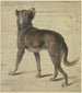 Hund - Philipp Rumpf — Ansicht des Kunstwerks
