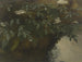 Schlehdorn in Blüte - Philipp Rumpf — Ansicht des Kunstwerks