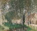 Die Pappeln - Pierre-Eugène Montzin — Ansicht des Kunstwerks