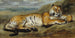Tigre au repos - Pierre Andrieu — Ansicht des Kunstwerks