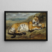 Tigre au repos - Pierre Andrieu — gerahmtes Bild an der Wand