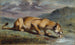 Löwin verletzt - Pierre Andrieu — Ansicht des Kunstwerks