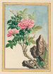 Pflanzen aus China Pl002 - Pierre Joseph Buchoz — Ansicht des Kunstwerks