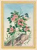Pflanzen aus China Pl.006 - Pierre Joseph Buchoz — Ansicht des Kunstwerks