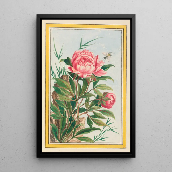 Pierre Joseph Buchoz - Plantes de Chine Pl009.webp