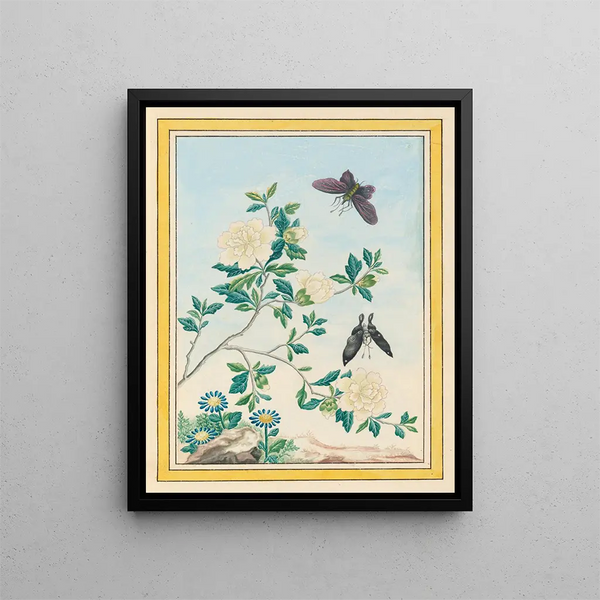 Pierre Joseph Buchoz - Plantes de Chine Pl017.webp