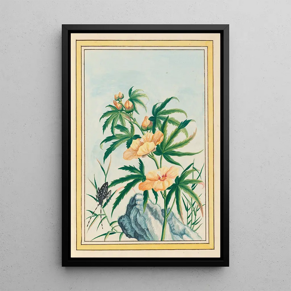Pierre Joseph Buchoz - Plantes de Chine Pl018.webp