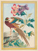Pflanzen aus China Pl.024 - Pierre Joseph Buchoz — Ansicht des Kunstwerks