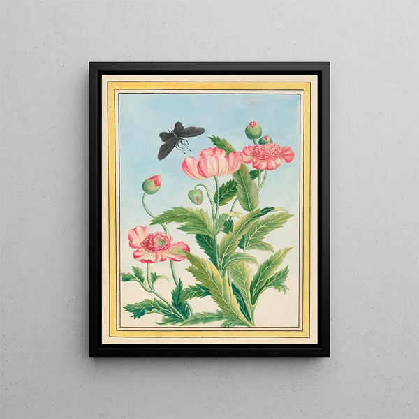 Pierre Joseph Buchoz - Plantes de Chine Pl025.webp