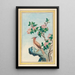 Pflanzen aus China Pl048 - Pierre Joseph Buchoz — gerahmtes Bild an der Wand