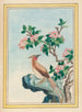 Pflanzen aus China Pl048 - Pierre Joseph Buchoz — Ansicht des Kunstwerks