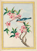 Pflanzen aus China Pl053 - Pierre Joseph Buchoz — Ansicht des Kunstwerks