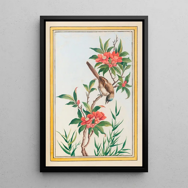 Pierre Joseph Buchoz - Plantes de Chine Pl056.webp