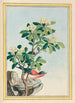 Pflanzen aus China Pl060 - Pierre Joseph Buchoz — Ansicht des Kunstwerks