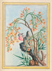 Pflanzen aus China Pl062 - Pierre Joseph Buchoz — Ansicht des Kunstwerks