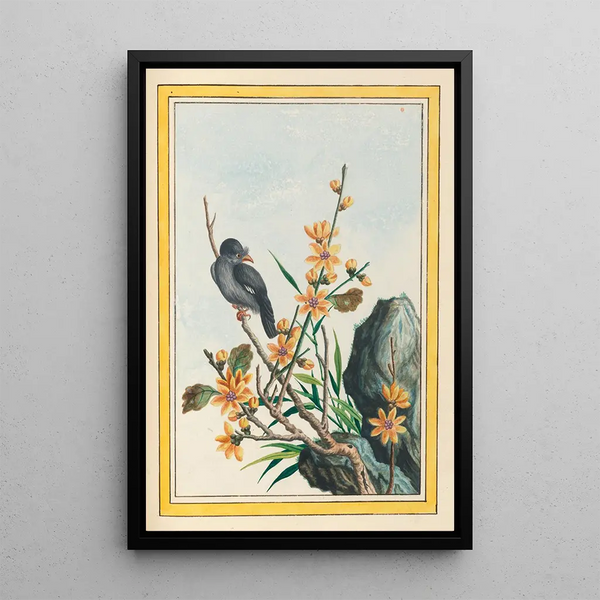 Pierre Joseph Buchoz - Plantes de Chine Pl065.webp