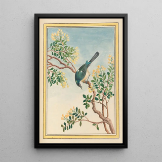 Pierre Joseph Buchoz - Plantes de Chine Pl068.webp