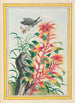 Pflanzen aus China Pl076 - Pierre Joseph Buchoz — Ansicht des Kunstwerks