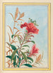 Pflanzen aus China Pl077 - Pierre Joseph Buchoz — Ansicht des Kunstwerks