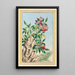 Pflanzen aus China Pl089 - Pierre Joseph Buchoz — gerahmtes Bild an der Wand