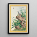 Pflanzen aus China Pl095 - Pierre Joseph Buchoz — gerahmtes Bild an der Wand