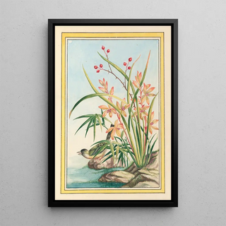 Pierre Joseph Buchoz - Plantes de Chine Pl097.webp