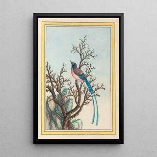 Pierre Joseph Buchoz - Plantes de Chine Pl099.webp