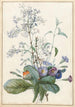 Ein Blumenstrauß mit Insekten - Pierre Joseph Redouté — Ansicht des Kunstwerks