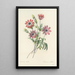 Auswahl der schönsten Blumen pl 009 - Pierre Joseph Redouté — gerahmtes Bild an der Wand