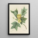 Auswahl der schönsten Blumen pl 110 - Pierre Joseph Redouté — gerahmtes Bild an der Wand