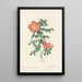 Rosa Eglanteria Sub Rubra - Pierre Joseph Redouté — gerahmtes Bild an der Wand
