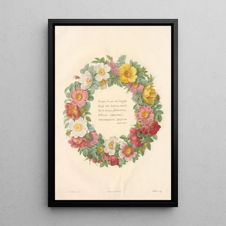 Pierre Joseph Redout - Rosier du Bengale.webp