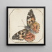 Schmetterling des Distels Vanessa cardui - Pieter Barbiers — gerahmtes Bild an der Wand