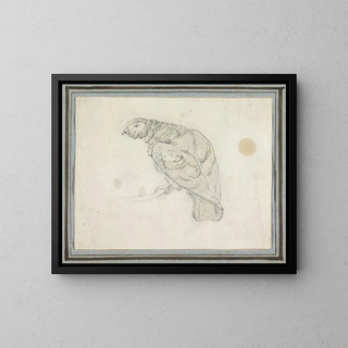 Pieter Casteels III - Papegaai.webp