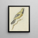 Loriot jaune Icterus nigrogularis - Pieter Gevers — gerahmtes Bild an der Wand