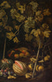 Naturmorte mit Früchten und Weinrebe - Pietro Paolo Bonzi — Ansicht des Kunstwerks