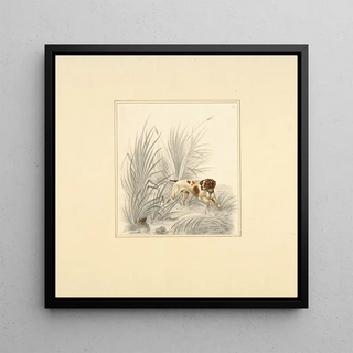 Henry Thomas Alken - Pointer looking at gamebird.webp