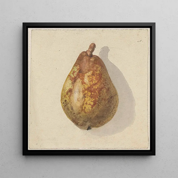 Poire - Gerardina Jacoba van de Sande Bakhuyzen