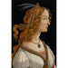Reproduktion des Gemäldes Portrait von Simonetta Vespucci als Nymphe - Sandro Botticelli