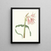 Haarornamente - Priscilla Susan Bury — gerahmtes Bild an der Wand