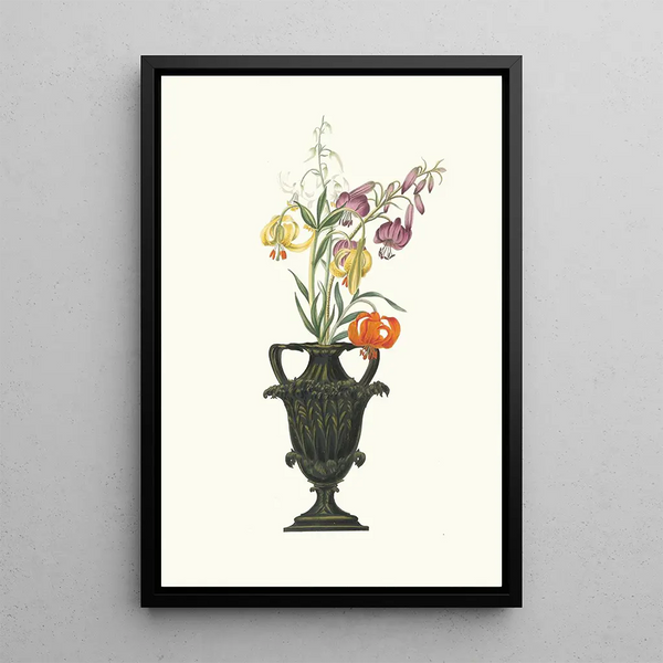 Lilium Pomponium Lilium Chalcedonicum - Priscilla Susan Bury — gerahmtes Bild an der Wand