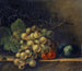 Naturmorte mit Trauben, Steinobst und einer Fliege - Rachel Ruysch — Ansicht des Kunstwerks