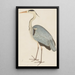 Heron cendré - Ram Das — gerahmtes Bild an der Wand