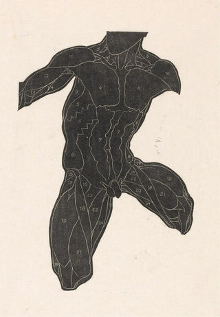 Reijer Stolk - Anatomical study of the neck abdominal and thigh muscles of a man in silhouette.webp