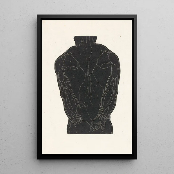 Reijer Stolk - Anatomische studie van de rugspieren van een man in silhouet.webp