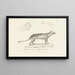 Centurie zoologique Pl02 - René Primevère Lesson — gerahmtes Bild an der Wand